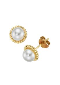 Paar Ohrstecker Firetti "Schmuck Geschenk Silber 925 Ohrschmuck Ohrringe Rand Kordeloptik", gelbgoldfarben, wei&szlig;, Ohrringe, Damen, 6mm, Perlen Silber 925 (Sterlingsilber), Perlen, Silber 925 (Sterlingsilber), Paar Ohrstecker, mit Muschelperle