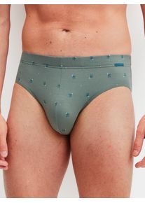 Slip Calida "Grafic Cotton", Herren, Gr. XXL (58/60), laurel gr&uuml;n, Single Jersey, Obermaterial: 90% Baumwolle, 10% Elasthan, k&ouml;rpernah, Unterhosen Slip, gestreift, ohne Eingriff, &uuml;berzogenem Bund, Single Jersey, elastisch