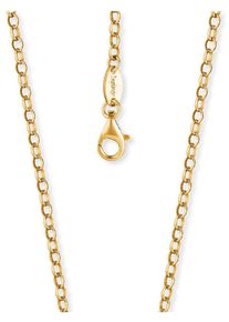 Collierkettchen Engelsrufer "Ankerkettengliederung, 2,85 mm breit" Gr. 60, gold (gelbgoldfarben), Halsketten, Damen, 60, Silber 925 (Sterlingsilber), B: 2,85mm, Collierkettchen, B:2,85mm