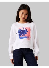 Sweatshirt Calvin Klein Jeans "Flower Graphic Cn Sweatshirt", M&auml;dchen, Gr. 6 (116), wei&szlig; (hellwei&szlig;), Sweatware, Obermaterial: 100% Baumwolle, unifarben, regular fit, Rundhals, B&uuml;ndchen, Sweatshirts Sweatshirt, f&uuml;r Kinder bis 16 Jahre und mit Logodruck
