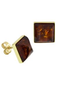 Paar Ohrstecker OSTSEE-SCHMUCK "- Classic 10 x 10 mm - Gold 333/000 - Bernstein" Gr. 11, gold (gold 333, goldfarben, gelb), Ohrringe, Damen, Gelbgold 333, Paar Ohrstecker