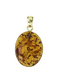 Kettenanh&auml;nger OSTSEE-SCHMUCK "- Classic 24x19 mm - Gold 585/000 - Bernstein" Gr. 34, gold (gold 585, goldfarben, gelb), Schmuckanh&auml;nger, Damen, Gelbgold 585, Kettenanh&auml;nger