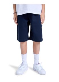 Shorts Element "Carpenter 19.3", Jungen, Gr. 12(148-156cm), blau (eclipse navy), [Hauptstoff] 70% Baumwolle, 30% recycelte Baumwolle, Hosen Shorts