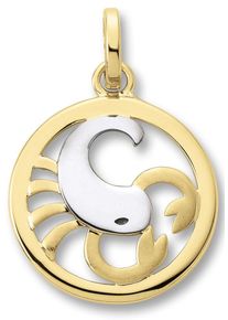 Sternzeichenanh&auml;nger ONE ELEMENT "Skorpion Sternzeichen Anh&auml;nger aus 333 Gelbgold", gold, Schmuckanh&auml;nger, Damen, Skorpion, Gelbgold 333, Sternzeichenanh&auml;nger, Astro