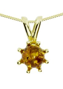 Kette und Anh&auml;nger Set OSTSEE-SCHMUCK "- Ilke - Gold 333/000 - Bernstein" Gr. 45, gold (gold 333, goldfarben, gelb), Schmuck_Sets, Damen, Blacklist, Gelbgold 333, Kette und Anh&auml;nger Set