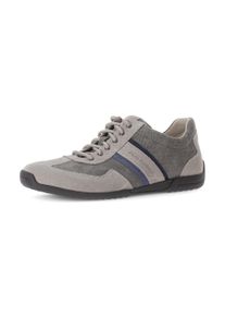 Sneaker Pius Gabor, Herren, Gr. 9 (43), grau (grau, grau), Lederimitat, Veloursleder, Schuhe Sneaker, Freizeitschuh, Halbschuh, Schn&uuml;rschuh mit Logo, Weite G (=weit)