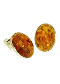 Paar Ohrstecker OSTSEE-SCHMUCK "- Classic 16x12 mm - Gold 333/000 - Bernstein" Gr. 16, gold (gold 333, goldfarben, gelb), Ohrringe, Damen, Gelbgold 333, Paar Ohrstecker