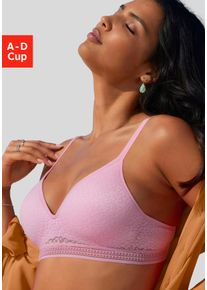 Bralette-BH Lascana "Freya", Damen, Gr. 80, Cup C, pink, Spitze, Obermaterial: 36% Polyamid, 29% Polyester, 27% Baumwolle, 8% Elasthan, BHs Bralette-BH, ohne B&uuml;gel mit eingearbeitetem Push-up Kissen, Dessous, Topseller