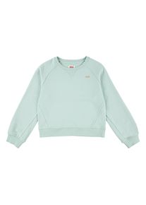 Sweatshirt LEVI'S KIDS "LVG LEVIS HD SILICONE BATWING", M&auml;dchen, Gr. 6 (116), celadon, Sweatware, Obermaterial: 80% Baumwolle, 20% Polyester, Sweatshirts Sweatshirt