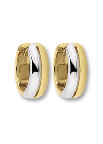 Paar Creolen ONE ELEMENT "Ohrringe Creolen aus 333 Gelbgold", gold, Ohrringe, Damen, Gelbgold 333, Paar Creolen