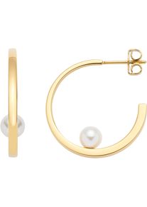 Paar Creolen Leonardo "Ohrringe Lucinda", gold (gelbgoldfarben, wei&szlig;), Ohrringe, Damen, 6mm, Edelstahl Perlen, Edelstahl, Perlen, Paar Creolen, mit Perle (imitiert)