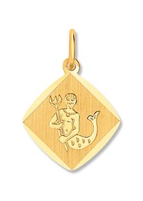 Sternzeichenanh&auml;nger ONE ELEMENT "Wassermann Sternzeichen Anh&auml;nger aus 333 Gelbgold", gold, Schmuckanh&auml;nger, Damen, Wassermann, Gelbgold 333, Sternzeichenanh&auml;nger, Astro