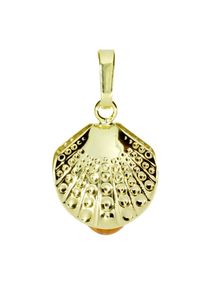 Kettenanh&auml;nger OSTSEE-SCHMUCK "- Muschel - Gold 333/000 - Bernstein" Gr. 21, gold (gold 333, goldfarben, gelb), Schmuckanh&auml;nger, Damen, Gelbgold 333, Kettenanh&auml;nger