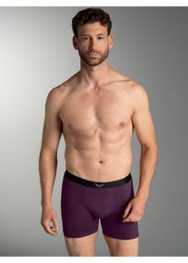 Boxer TRIGEMA "TRIGEMA Pants mit praktischem Gummibund", Herren, Gr. 3XL, 1 Stk., aubergine, 95% Baumwolle, 5% Elastan, Unterhosen Boxer