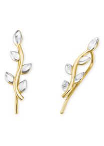 Paar Ohrh&auml;nger Amor "Ohrklemme Ranke", gold (gelbgoldfarben, wei&szlig;goldfarben), Ohrringe, Damen, Gelbgold 585, Paar Ohrh&auml;nger