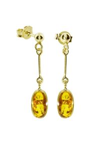 Paar Ohrh&auml;nger OSTSEE-SCHMUCK "- Classic 10 x 5 mm - Gold 333/000 - Bernstein" Gr. 30, gold (gold 333, goldfarben, gelb), Ohrringe, Damen, Gelbgold 333, Paar Ohrh&auml;nger