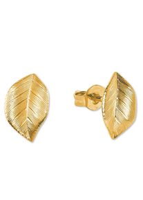 Paar Ohrstecker Amor "Bl&auml;tter", gold (gelbgoldfarben), Ohrringe, Damen, Gelbgold 375, Paar Ohrstecker, Made in Germany