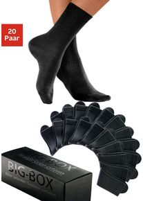 Basicsocken GO IN, Damen, Gr. 39-42, schwarz (20x schwarz), Baumwolle, Baumwollmischung, Elasthan, Polyamid, unifarben, elastisch, Socken Basicsocken, in der gro&szlig;en Big-Box, Topseller