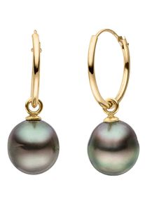 Paar Creolen Firetti "Schmuck Geschenk Gold 375 Ohrschmuck Creole", schwarz (gelbgoldfarben, schwarz), Ohrringe, Damen, 9mm, Gelbgold 375 Perlen, Gelbgold 375, Perlen, Paar Creolen, Made in Germany - mit Tahitizuchtperle - Einh&auml;nger abnehmbar