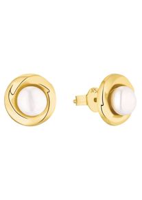 Paar Ohrstecker Amor "2013569", wei&szlig; (goldfarben,wei&szlig;), Ohrringe, Damen, Gelbgold 375 Perlen, Gelbgold 375, Perlen, Paar Ohrstecker, mit S&uuml;&szlig;wasserzuchtperle