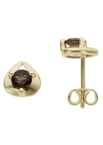 Paar Ohrstecker Firetti "Schmuck Geschenk Gold 333 Ohrschmuck Farbstein Edelstein Quarz", braun (gelbgoldfarben, braun, braun), Ohrringe, Damen, Gelbgold 333, Paar Ohrstecker, mit Rauchquarz
