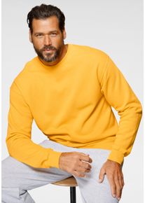 Sweatshirt Fruit of the Loom, Herren, Gr. 3XL (64/66), gelb (sonnengelb), angeraute Sweatware, Obermaterial: 80% Baumwolle, 20% Polyester, schmal h&uuml;ftlang, Rundhals, Rippb&uuml;ndchen, Sweatshirts Sweatshirt, im unifarbenen Design