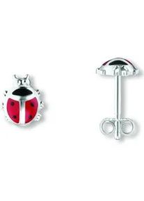 Paar Ohrh&auml;nger ONE ELEMENT "Marienk&auml;fer Ohrringe Ohrstecker aus 925 Silber", silber, Ohrringe, M&auml;dchen, Kinder, Silber 925 (Sterlingsilber), Fein gefertigt &ndash; ein Zeichen mit besonderer Bedeutung
