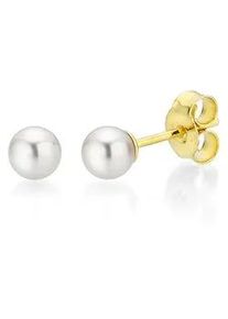 Paar Ohrstecker Firetti "Schmuck Geschenk Gold 375 Ohrschmuck Perle verschiedene Gr&ouml;&szlig;en" Gr. 4, gold (gelbgoldfarben, wei&szlig;), Ohrringe, Damen, 4, Gelbgold 375 Perlen, Gelbgold 375, Perlen, Made in Germany - mit S&uuml;&szlig;wasserzuchtperle