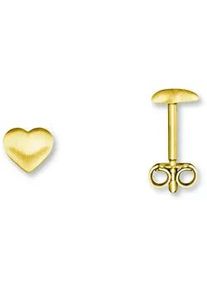 Paar Ohrh&auml;nger ONE ELEMENT "Herz Ohrringe Ohrstecker aus 333 Gelbgold", gold, Ohrringe, Damen, Damen, Gelbgold 333 Gold, Gelbgold 333, Gold, Liebevoll gearbeitet &ndash; ein sch&ouml;nes Geschenk f&uuml;r besondere Momente
