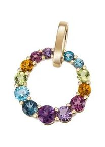 Kettenanh&auml;nger Firetti "Schmuck Geschenk Silber 925 Halsschmuck Anh&auml;nger Kreis Regenbogen", bunt (gelbgoldfarben, dunkelblau, pink, rostrot, gelb, hellgr&uuml;n, hellblau, lila, dunkelblau, pink, rostrot, gelb, hellgr&uuml;n, hellblau, lila), Schmuckanh&auml;nger, Damen, Silber 925 (Sterlingsilber), 2 g, Kettenanh&auml;nger, mit Topas (behandelt), Amethyst, Citrin, Peridot, Rhodolith, Topas
