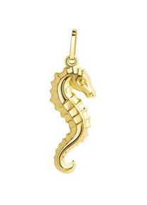 Kettenanh&auml;nger Firetti "Schmuck Geschenk Gold 333 Halsschmuck Anh&auml;nger Halskette Seepferd", gold (gelbgoldfarben), Schmuckanh&auml;nger, Damen, Gelbgold 333, 0,54 g, Kettenanh&auml;nger