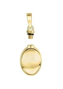 Kettenanh&auml;nger Firetti "Schmuck Geschenk Silber 925 Erinnerungskapsel Anh&auml;nger", gold (gelbgoldfarben), Schmuckanh&auml;nger, Damen, Silber 925 (Sterlingsilber), 2,7 g, Kettenanh&auml;nger