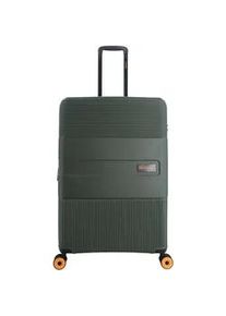 Koffer DISCOVERY "Trails", Damen, Gr. B/H/T: 51,5cm x 76,5cm x 31cm, gr&uuml;n, Polypropylen, Koffer, hergestellt aus leichtem und robustem Polypropylen