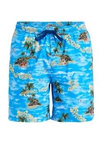 Boardshorts Quiksilver "Everyday Straight Volley 17", Herren, Gr. L, blau (coronet blau naturama), Obermaterial: 100% Polyester;, Hosen