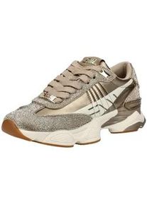 Sneaker Steve Madden "Steve Madden Sneaker Textil", Damen, Gr. 40, gold, Textil, Schuhe Sneaker