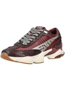 Sneaker Steve Madden "Steve Madden Sneaker Textil", Damen, Gr. 40, cherry, Textil, Schuhe Sneaker