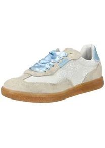 Sneaker Steve Madden "Steve Madden Sneaker Veloursleder/Textil", Damen, Gr. 38, beige (ivory), Textil, Veloursleder, Schuhe Sneaker