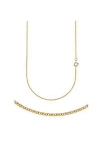 Collierkettchen Firetti "Schmuck Geschenk Gold 333 oder 585 Halskette Ankerkette rund" Gr. 60, gold (gelbgoldfarben), Halsketten, Damen, 60, Gelbgold 585, B: 1,5mm, Made in Germany, B:1,5mm