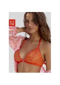 Bralette-BH Vivance, Damen, Gr. 75, Cup C, orange (mandarine), Obermaterial: 85% Polyamid, 15% Elasthan, BHs, in zierlicher Triangel-Schnittform mit Neckholder-Tr&auml;gern, Dessous