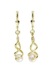 Paar Ohrh&auml;nger OSTSEE-SCHMUCK "OSTSEE-SCHMUCK Ohrh&auml;nger Lusia Ohrh&auml;nger Lusia", gelb, Ohrringe, Damen, 38x8mm, Gelbgold 333