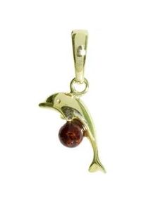 Kettenanh&auml;nger OSTSEE-SCHMUCK "OSTSEE-SCHMUCK Anh&auml;nger Delphin Anh&auml;nger Delphin", gelb, Schmuckanh&auml;nger, Damen, 25x14mm, Silber 925 (Sterlingsilber), 1,5 g, Kettenanh&auml;nger