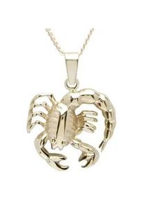 Kette mit Anh&auml;nger OSTSEE-SCHMUCK "OSTSEE-SCHMUCK Kette mit Anh&auml;nger Tierkreiszeichen Skorpion" Gr. 45, gold, Halsketten, Damen, 45cm, Gelbgold 333, L: 42