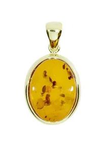 Kettenanh&auml;nger OSTSEE-SCHMUCK "OSTSEE-SCHMUCK Anh&auml;nger Classic 18x13 mm", gelb, Schmuckanh&auml;nger, Damen, 31 x 16mm, Gelbgold 333, 4 g, Kettenanh&auml;nger