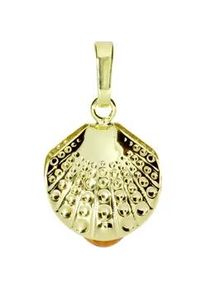 Kettenanh&auml;nger OSTSEE-SCHMUCK "OSTSEE-SCHMUCK Anh&auml;nger Muschel Anh&auml;nger Muschel", gelb, Schmuckanh&auml;nger, Damen, 21 x 12mm, Gelbgold 333, 0,7 g, Kettenanh&auml;nger