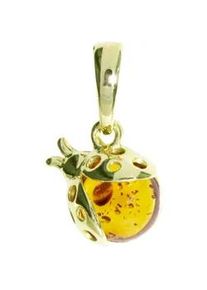 Kettenanh&auml;nger OSTSEE-SCHMUCK "OSTSEE-SCHMUCK Anh&auml;nger Marienk&auml;fer Anh&auml;nger Marienk&auml;fer", gelb, Schmuckanh&auml;nger, Damen, 21 x 12mm, Gelbgold 333, 1,6 g, Kettenanh&auml;nger
