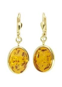 Paar Ohrh&auml;nger OSTSEE-SCHMUCK "OSTSEE-SCHMUCK Ohrh&auml;nger Classic 14 x 10 mm oval", gelb, Ohrringe, Damen, 33 x 12mm, Gelbgold 333