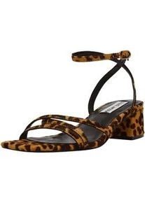 Riemchensandale Steve Madden "Steve Madden Sandalen Leder", Damen, Gr. 39, braun (leopard), Leder, Schuhe Riemchensandale