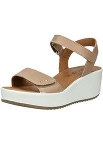 IGI&CO Keilsandalette IGI & CO "IGI & CO Sandalen Leder", Damen, Gr. 41, beige (beige, wei&szlig;), Leder, Schuhe