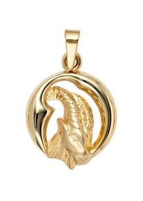 Sternzeichenanh&auml;nger Jobo "Anh&auml;nger Sternzeichen", gelbgold 375, Schmuckanh&auml;nger, Damen, Steinbock, Gelbgold 375, 375 Gold rund 14 mm