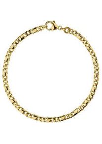 Goldarmband Jobo "Dollararmband 3,2 mm", gelbgold 333, Armb&auml;nder, Damen, 18,5cm, Gelbgold 333, Goldarmband, 333 Gold 18,5 cm